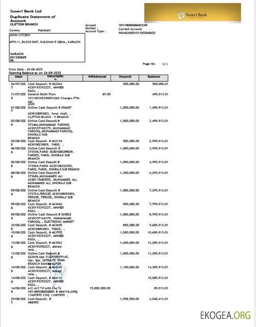Modèle Word et PDF de relevé de compte de la Pakistan Soneri Bank